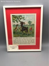 Goat kids page for sale  Randolph