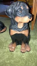Rottweiler dog puppy for sale  Pinckneyville