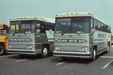 Original Bus Slide Indiana Motor Bus Charter #240, 236 1980 #21 comprar usado  Enviando para Brazil
