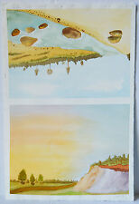 Set 1999 watercolor for sale  Turtletown