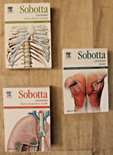 Sobotta lernkarten anatomie gebraucht kaufen  Jena