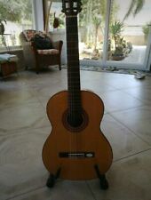 Vendo chitarra amplificata usato  Taranto