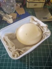 Used, Vintage Ostrich Egg for sale  Shipping to South Africa