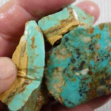 turquoise rough for sale  Halfway