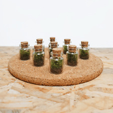 Tiny moss terrarium for sale  OLDHAM