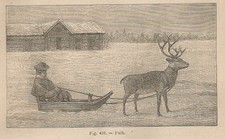 fjellpulken pulk til salgs fjellpulken pulk til salgs Frakt til Norway