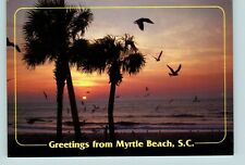 Cartão postal saudações de Myrtle Beach Carolina do Sul 1992? pássaros palmeiras sol comprar usado  Enviando para Brazil