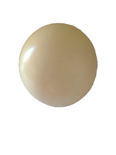 Uovo naturale struzzo usato  Villa Celiera