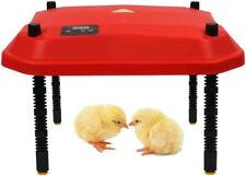 Heat lamp chicks for sale  WIRRAL
