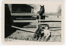 Foto original de 1950 en blanco y negro niña su perro y caballo corral estable #223 segunda mano  Embacar hacia Argentina