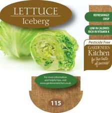 Lettuce plants iceberg for sale  EVESHAM