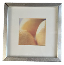 Lemons print framed for sale  Thornton