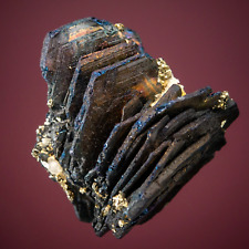 Used, Covellite, Butte, Silver Bow County, Montana, ex. Harris, 1807-K78 for sale  Shipping to South Africa