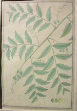 Vintage collectible botanical for sale  Montclair