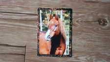 Pferde postkarte gebraucht kaufen  Olsberg