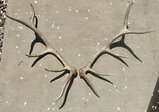 Set elk sheds for sale  Boulder