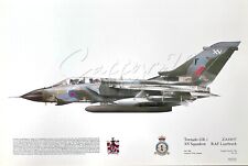 Tornado gr1 squadron for sale  STAMFORD