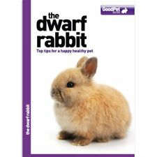 Dwarf Rabbit: Top tips for a happy, healthy pet By Eira Caulverwell, usado segunda mano  Embacar hacia Mexico