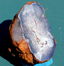 16.6g iron meteorite for sale  Mc Gregor