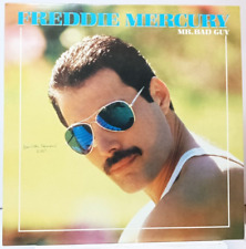 Freddie mercury mr. usato  Roma