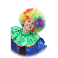 Parrucca clown ragazzo usato  San Potito Sannitico