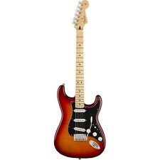 Fender player stratocaster gebraucht kaufen  Köln