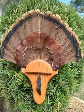 Large turkey fan for sale  Sebastian