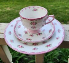 Shelley teacup plate for sale  Nielsville