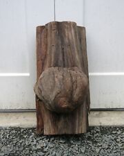 Cedar burl stump for sale  Newtown