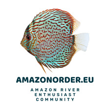 Amazonorder.eu premium domain for sale  Shipping to Ireland
