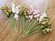 kunstpflanzen orchidee gebraucht kaufen kunstpflanzen orchidee gebraucht kaufen Filderstadt