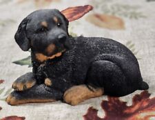 Usado, Adoráveis artistas country preto e bronzeado 2001 filhote Rottweiler deitado aposentado comprar usado  Enviando para Brazil