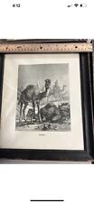Camel print framed for sale  Anaheim