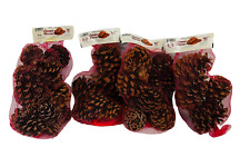 Cinnamon scented pinecones for sale  Prescott Valley