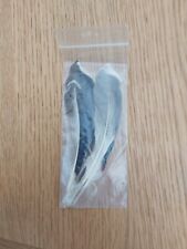 Mallard wing feather for sale  FLINT