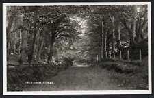Postcard crowcombe combe for sale  POOLE