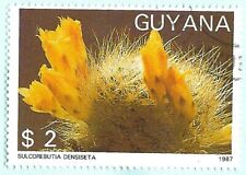 Seal stamp used Guyana 1988 Fauna and Flora sulcorebutia densiseta for sale  Shipping to South Africa