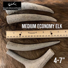 Medium economy elk for sale  Rapid City