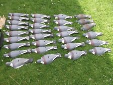 Pigeon shell decoys for sale  CHELTENHAM