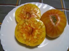 Graines tomate ananas d'occasion  Plaisance-du-Touch