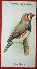 Zebra finch vintage for sale  Shipping to Ireland