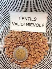 Lentes Val di Niévole - lentejas - más de 25 semillas semillas - semillas - ¡ERTRAGREICH! H 102 segunda mano  Embacar hacia Argentina