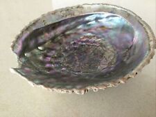 Abalone shell for sale  Saint George