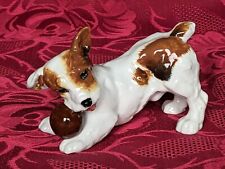 jack russell puppy for sale  STOKE-ON-TRENT