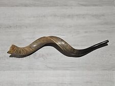 Kudu yemenite horn for sale  Vancouver