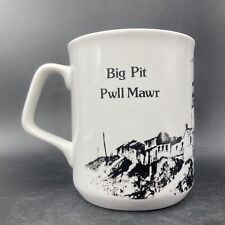 Big pit pwll for sale  NORTHAMPTON