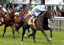 911 horse racing for sale  GRIMSBY