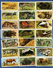1962 African Wild Life Brooke Bond Tea Cards UK Issue Starter Set of 34 OF 50 for sale  Canada