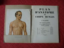 Plan anatomie corps d'occasion  Biarritz