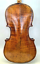 liuteria violino usato  Venezia